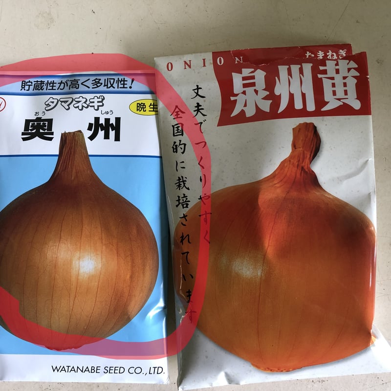 奥州玉ねぎ 自然栽培 固定種 2025年 | はせがわ農園オンラインショップ