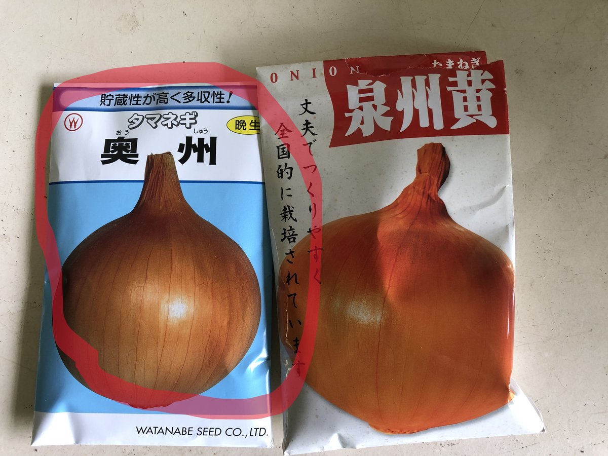 奥州玉ねぎ 自然栽培 固定種 | はせがわ農園オンラインショップ