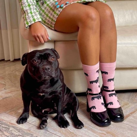 ククシュゼット 正規商品 靴下 レディース おしゃれ かわいい 犬 ギフト フランス Coucou Suzette スタッフィー ソックス Staffy Socks ピンク Pink