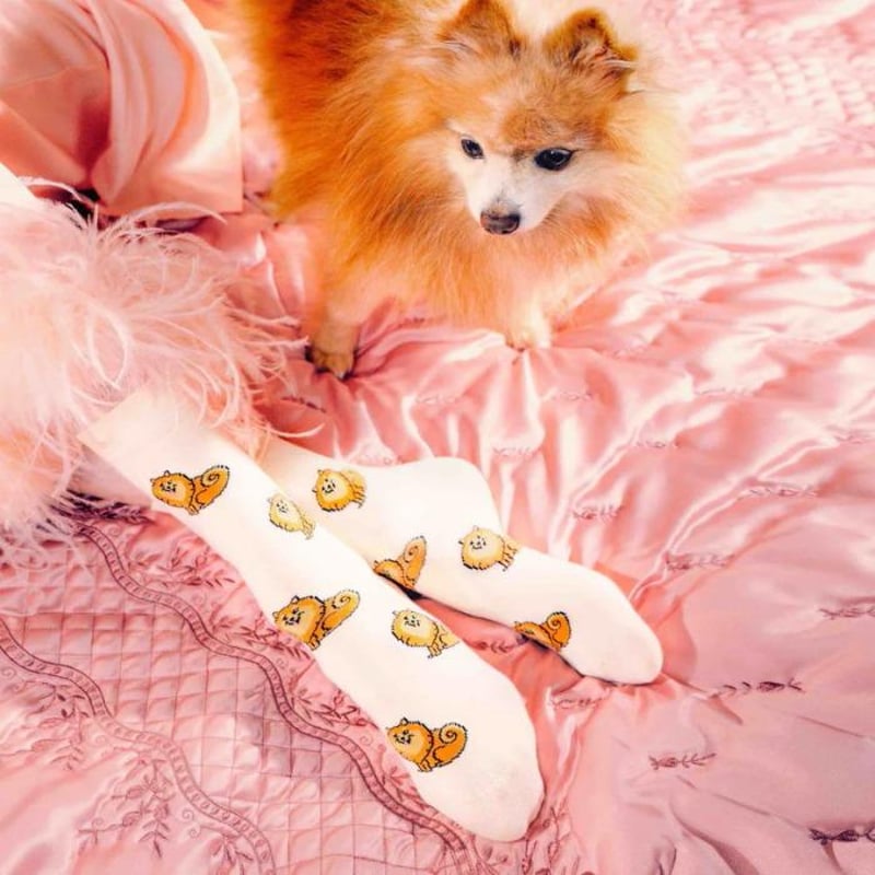 ククシュゼット 正規商品 靴下 レディース おしゃれ かわいい 犬