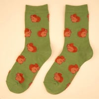 Coucou Suzette / Squirrel Socks / squirrelsocks
