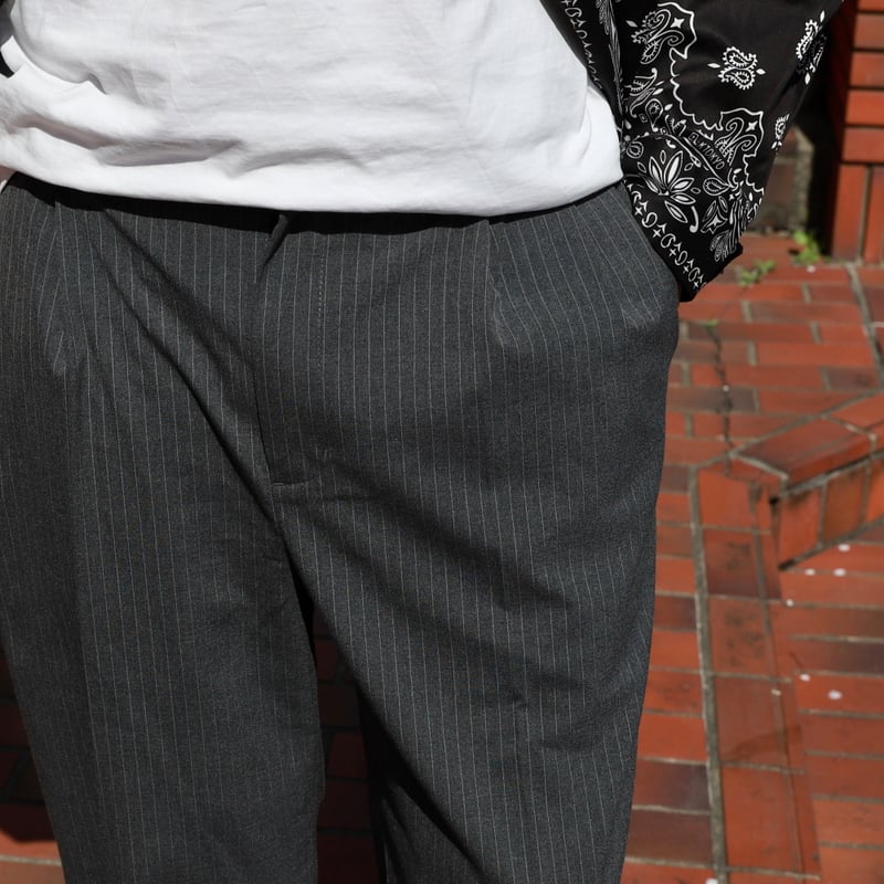 HIDEANDSEEK / Striped Pleated Trouser / HP-0306