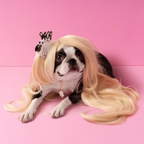 ククシュゼット 正規商品 ヘア アクセ クリップ 犬 かわいい Coucou Suzette ブルドッグ ヘア クロー ホワイト×ブラック(bulldogclaw)