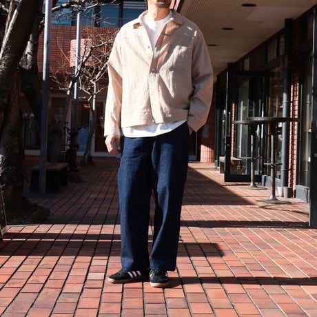 alvana / BHARAT DENIM WORK PANTS / alv90101
