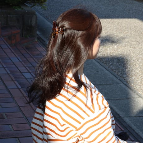 ククシュゼット 正規商品 ヘア アクセ クリップ 虫 かわいい おしゃれ ギフト Coucou Suzette べっ甲 蛾 ヘア クロー ブラウン(mothhairclaw)