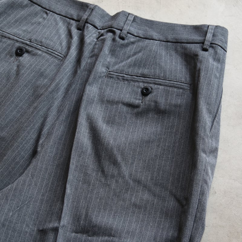 HIDEANDSEEK / Striped Pleated Trouser / HP-0306