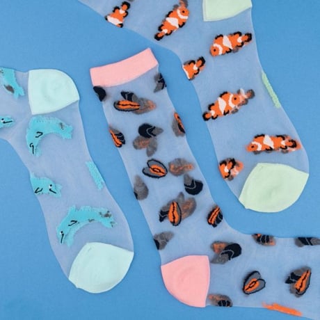Coucou Suzette / ムール貝 シアー ソックス / musselshsocks