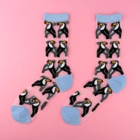 Coucou Suzette / オオハシ シアー ソックス / toucanshsocks