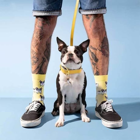 ククシュゼット 正規商品 靴下 レディース かわいい 犬 フランス クルー丈 Coucou Suzette ブルドッグ ソックス French Bulldog Socks イエロー Yellow