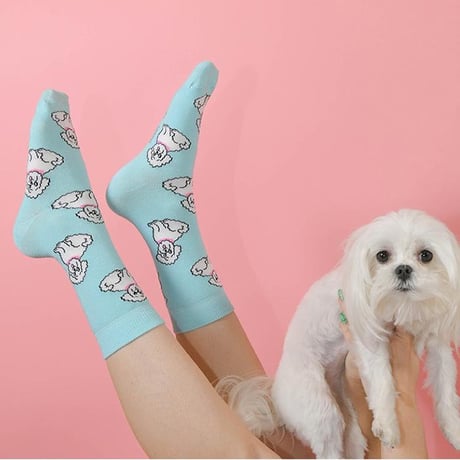 ククシュゼット 正規商品 靴下 レディース おしゃれ かわいい 犬 フランス クルー丈 Coucou Suzette ビション ソックス Bichon Socks スカイ ブルー Sky Blue