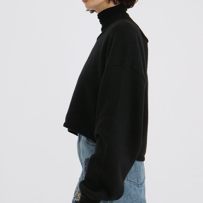 CLANE / ROLL NECK SHORT KNIT TOPS / 181062262 | CLANE / ROLL NECK SHORT KNIT TOPS / 181062262 |