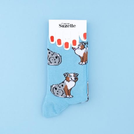 ククシュゼット 正規商品 靴下 レディース 犬 フランス ギフト Coucou Suzette オーストラリアン シェパード ソックス Australian Shepherd Socks スカイブルー