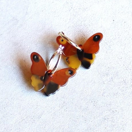 Coucou Suzette / Moth Earrings / mothear