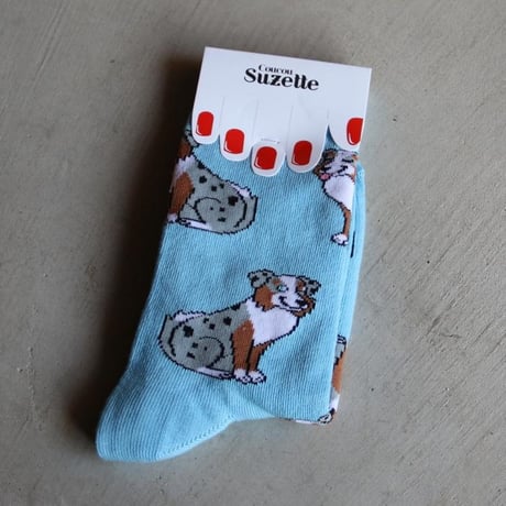 ククシュゼット 正規商品 靴下 レディース 犬 フランス ギフト Coucou Suzette オーストラリアン シェパード ソックス Australian Shepherd Socks スカイブルー
