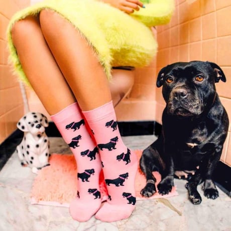 ククシュゼット 正規商品 靴下 レディース おしゃれ かわいい 犬 ギフト フランス Coucou Suzette スタッフィー ソックス Staffy Socks ピンク Pink