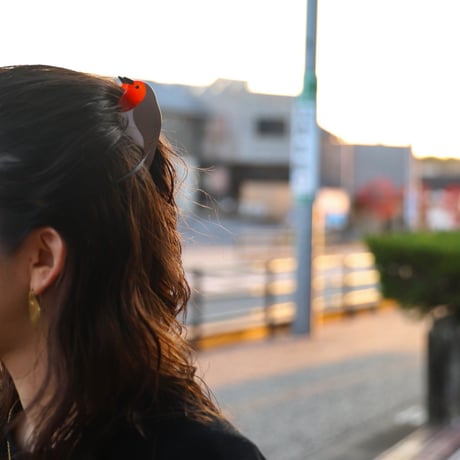ククシュゼット 正規商品 ヘア アクセ クリップ かわいい 鳥 ウグイス フランス Coucou Suzette  コマドリ ヘア クロー レッド×ベージュ(robinclaw)