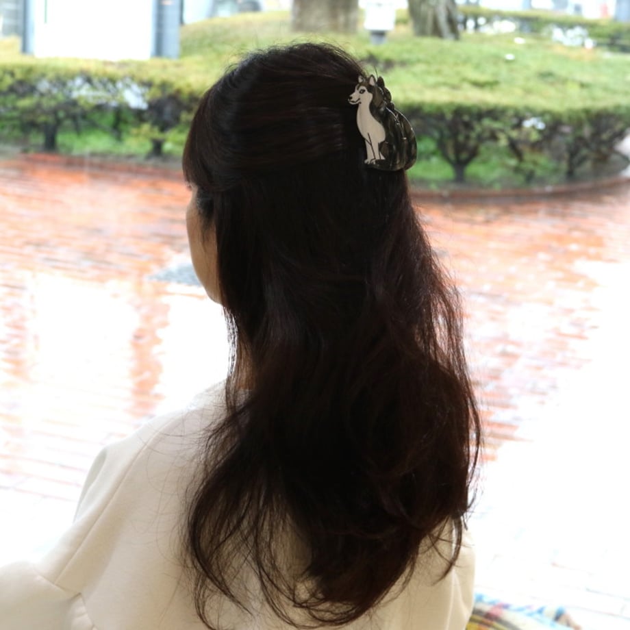 66580dd8a1be0e0b8c7099a0