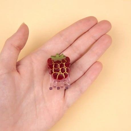 Coucou Suzette / Raspberry Mini Hair Claw / raspberryminiclaw