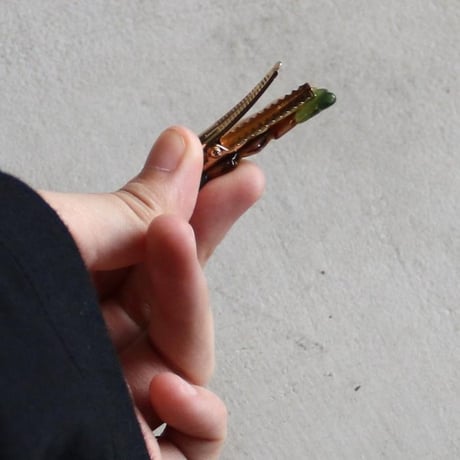 Coucou Suzette /Acorns Hair Clip / acornsclip
