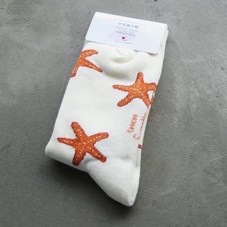 ククシュゼット 正規商品 靴下 Coucou Suzett レディース 個性的 海 フランス クルー丈 ヒトデ ソックス Starfish Socks クリーム Cream