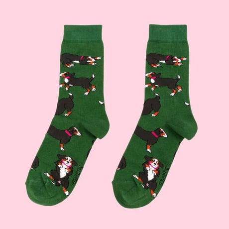 ククシュゼット 正規商品 靴下 レディース 犬 フランス ギフト おしゃれ Coucou Suzette バーニーズ ソックス Bernese Socks ダークグリーン Dark Green