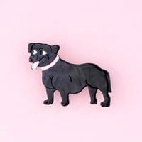 ククシュゼット 正規商品 ヘアアクセ クリップ ピン ヘアピン 犬 フランス Coucou Suzette スタッフィー ヘア クリップ ブラック(staffyclip)