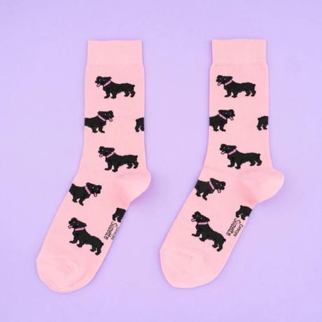 ククシュゼット 正規商品 靴下 レディース おしゃれ かわいい 犬 ギフト フランス Coucou Suzette スタッフィー ソックス Staffy Socks ピンク Pink