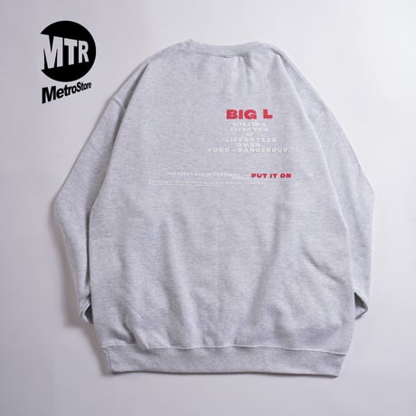 "BIG L DEBUT ALBUM AD" 8oz Sweat ASH