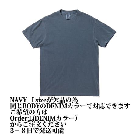 "A Train Session with ROB ADER" GarmentDyed 6.1oz Tee Navy