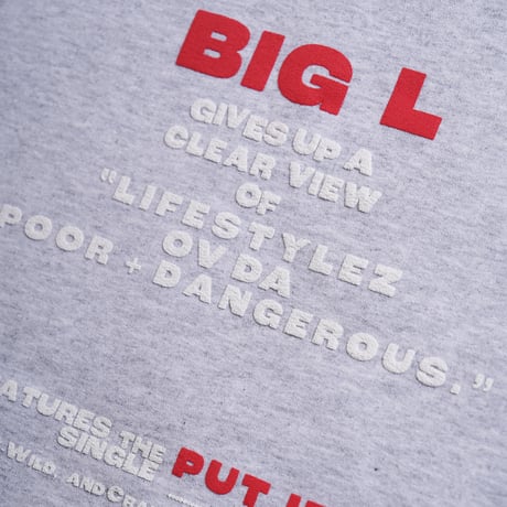 "BIG L DEBUT ALBUM AD" 8oz Hoodie ASH