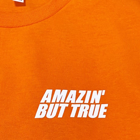 "WilletsPoint Tee" BackPrint Orange