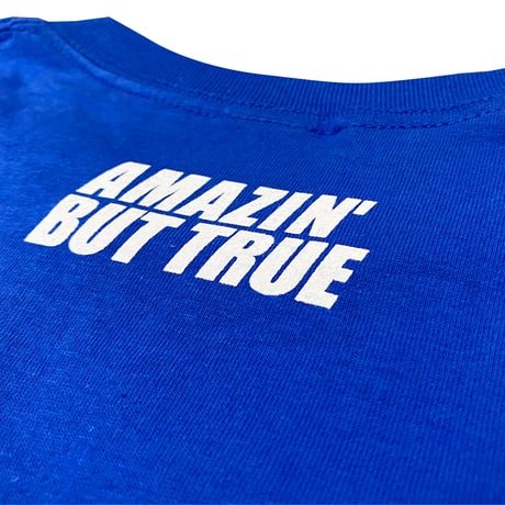 "WilletsPoint Tee" FrontPrint Blue