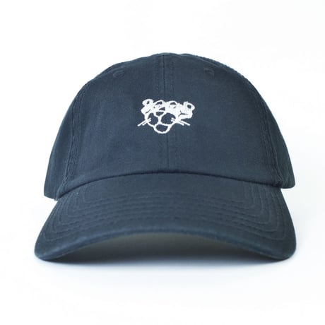 PANTHER DAD CAP