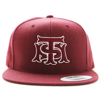 TMS LOGO CAP