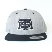 TSM LOGO 2TONE CAP