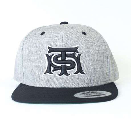 TSM LOGO 2TONE CAP