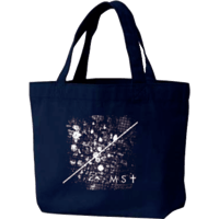 LUNCH TOTE