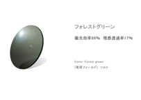 RARTS偏光レンズ×HATCH Sunny(海)