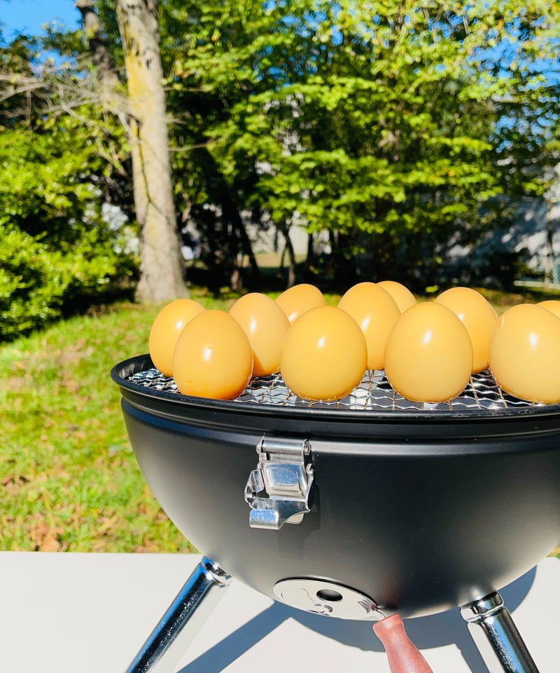 北海道産蝦夷山桜の「燻製まるごとセット」 | IWAKURA ONLINE SHOP