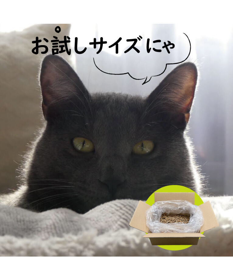 お試しサイズ】【3.3L】【2kg】【500円】ネコペレのお試しサイズ