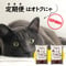 【定期便】【10%OFF】【送料無料】【超お得!】ネコペレをたくさん使う方にお勧め ネコペレ33L (10kg×2袋)