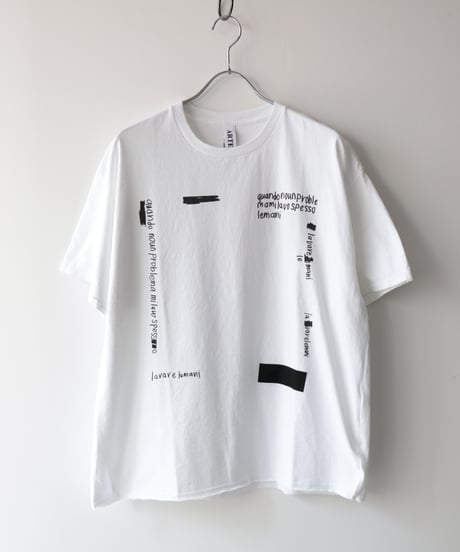 ギルダン RE-「lavare lemani」プリントTシャツ     [ARTEPOVERA]