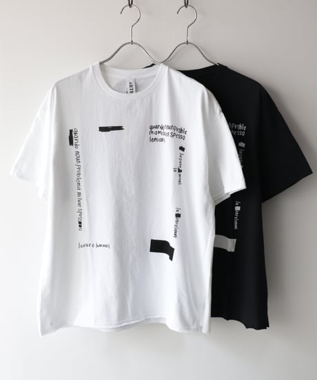 ギルダン RE-「lavare lemani」プリントTシャツ     [ARTEPOVERA]