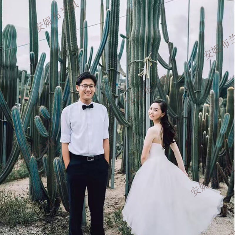 前短後長 ミモレ丈☆レーストップ☆ウエディングドレス パーティー  