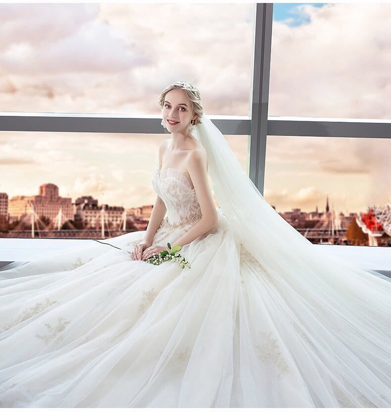 ウェディングドレス　ロングトレーン　プリンセスライン 美品 Newjoy / プリンセスライン ウェディングドレス 背中編み上げ ロング