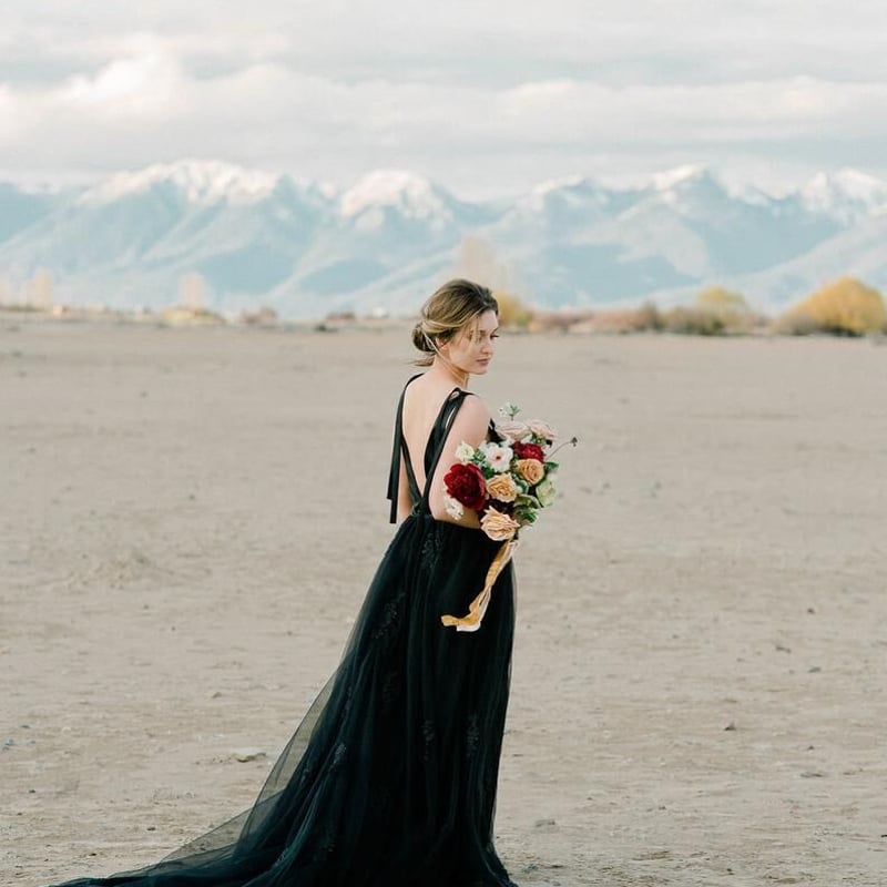 美品！カラードレス 黒 深Vネック 華やかなトレーン 憧れのドレス  