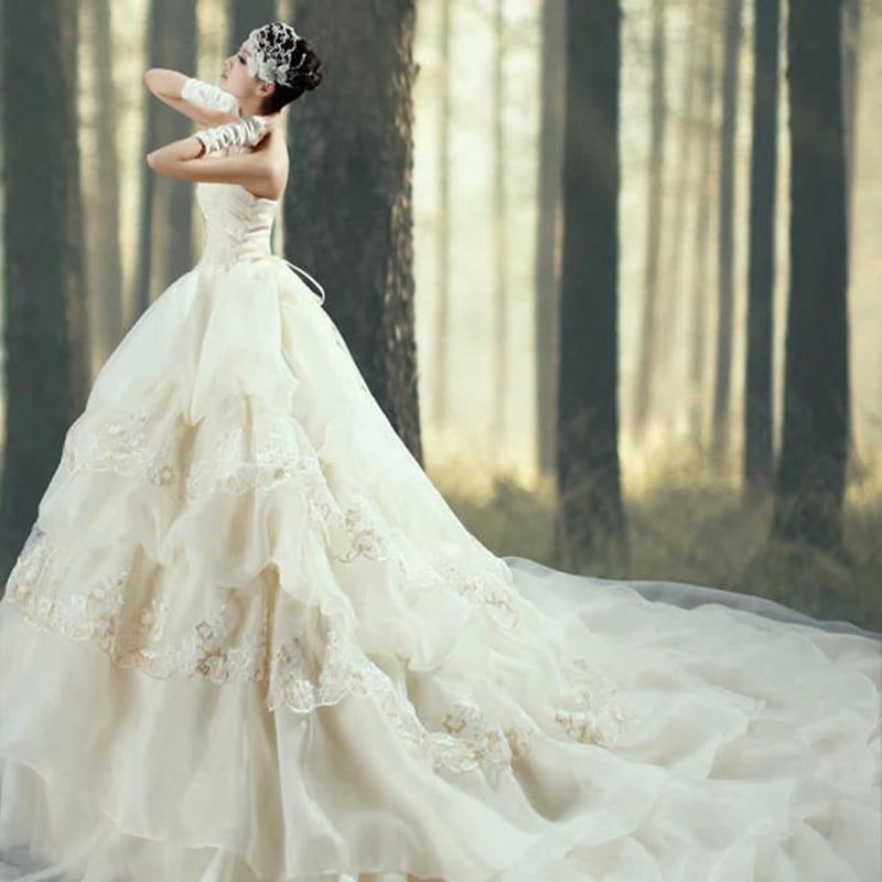 高級トレーン長いウェディングドレス 新品 優雅！ トレーン ド