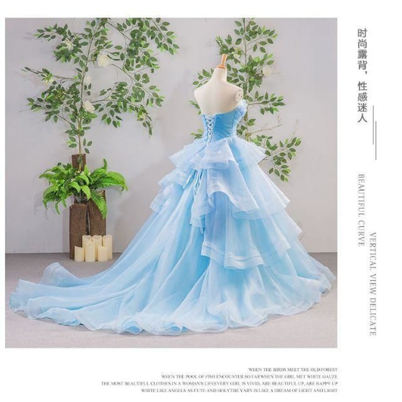 犬のウェディングドレス✨カラードレス 水色 M Amazon | ペットのウェディングドレス、犬の花嫁衣装