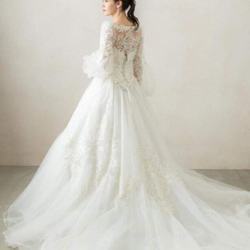 レースチュールウェディングドレス ビスチェ インポート ウエディングドレス シースルー袖 総レース チュールスカート