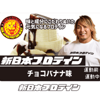 ★残りわずか★間もなく終売★ウェルネスサーバー用　新日本プロテイン　チョコバナナ味(500g)